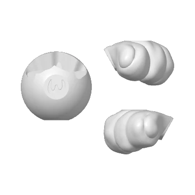 Plate 1: the bottom shell and two tail pieces, in white